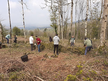 Working well walling april2021.jpg