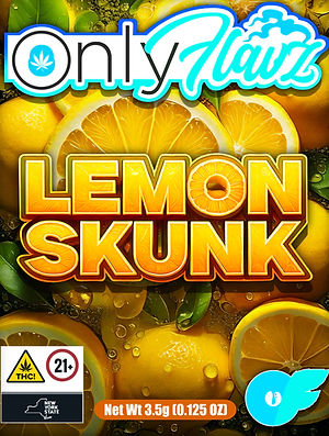 Lemon_Skunk_Square_Bag__edited.jpg