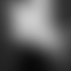 FINALIST APPRENTICE OF THE YEAR COLLECTION ✖️ZINGARA✖️