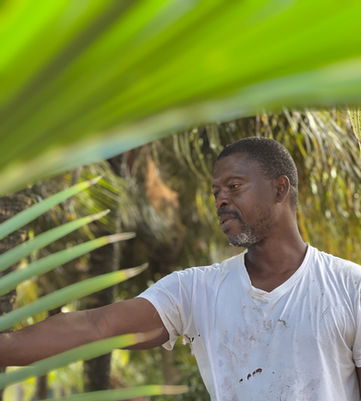 Antigua Agriculture pioneer, Humble, and Free Wadadli. Experience Antigua's rich agriculture hub on the Agro District Hike to Rick P's Farm.