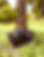 Screenshot 2023-10-30 at 12.09.39 PM.png