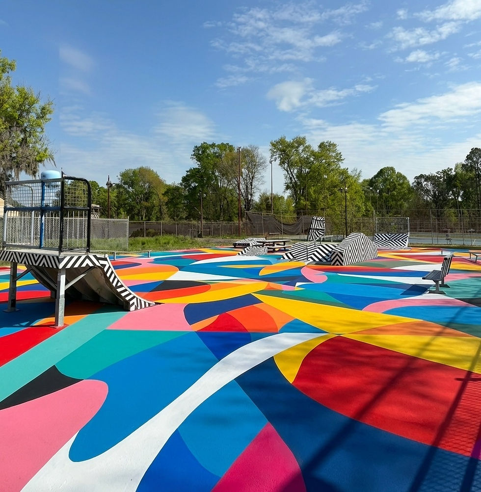 Skate Park Paint Party, May 2nd 10-3