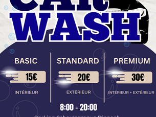 CAR WASH DIPPECH