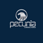 Foto del escritor: Pecunia Consultores