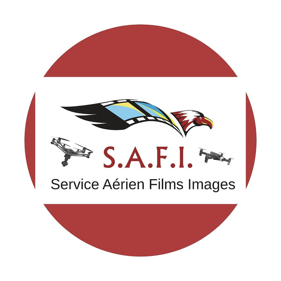 Logo SAFIDRONE