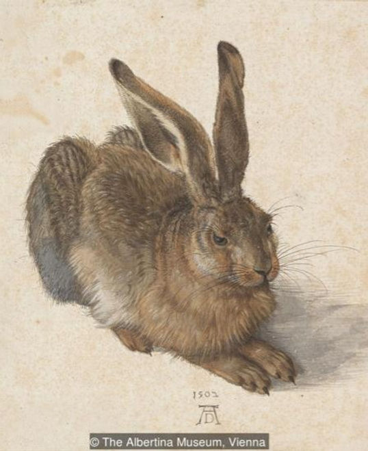 Bunnies, Bunnies Everywhere!