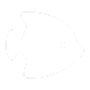 Fish.png