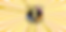 A EQUIPA DOCENTE (Banner mediano (EE. UU.) (horizontal)).png