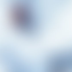 Micrografía de una muestra teñida en azul con dos quistes rojos ovalados y muchas bacterias dispersas sobre fondo blanco.