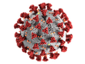 XBB.1.5: qué sabemos sobre esta subvariante del COVID-19 que se propaga rápidamente por el país