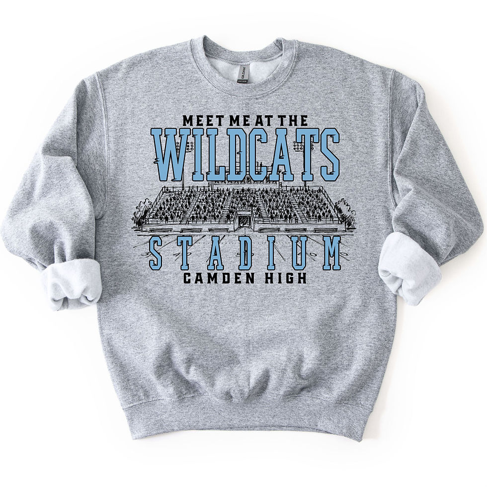 Thumbnail: Wildcat stadium 