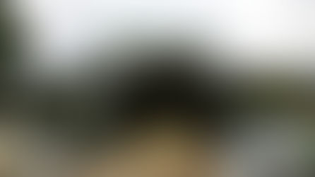 屋根補修工事完了しました