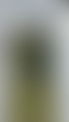 夏の終り