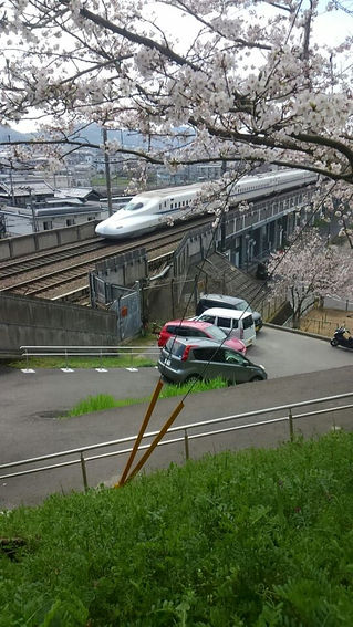春がきた