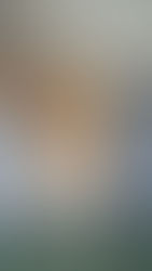 お世話になりました