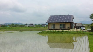 田植えの時期