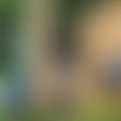 Partnering for Impact - HOME, Inc. & Hildreth Construction