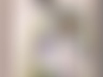 Erk Hayvanı: BAYKUŞ ve Baykuş Arketipi