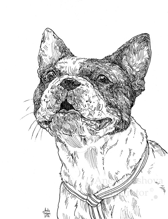 Thumbnail: Custom Dog Pet Portrait