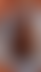 Panqué de Chocolate: Fantasía