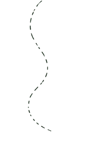 #5e6c53 (6).png