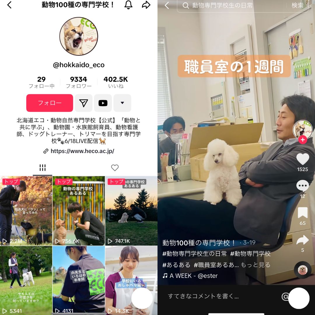 動物100種の専門学校!