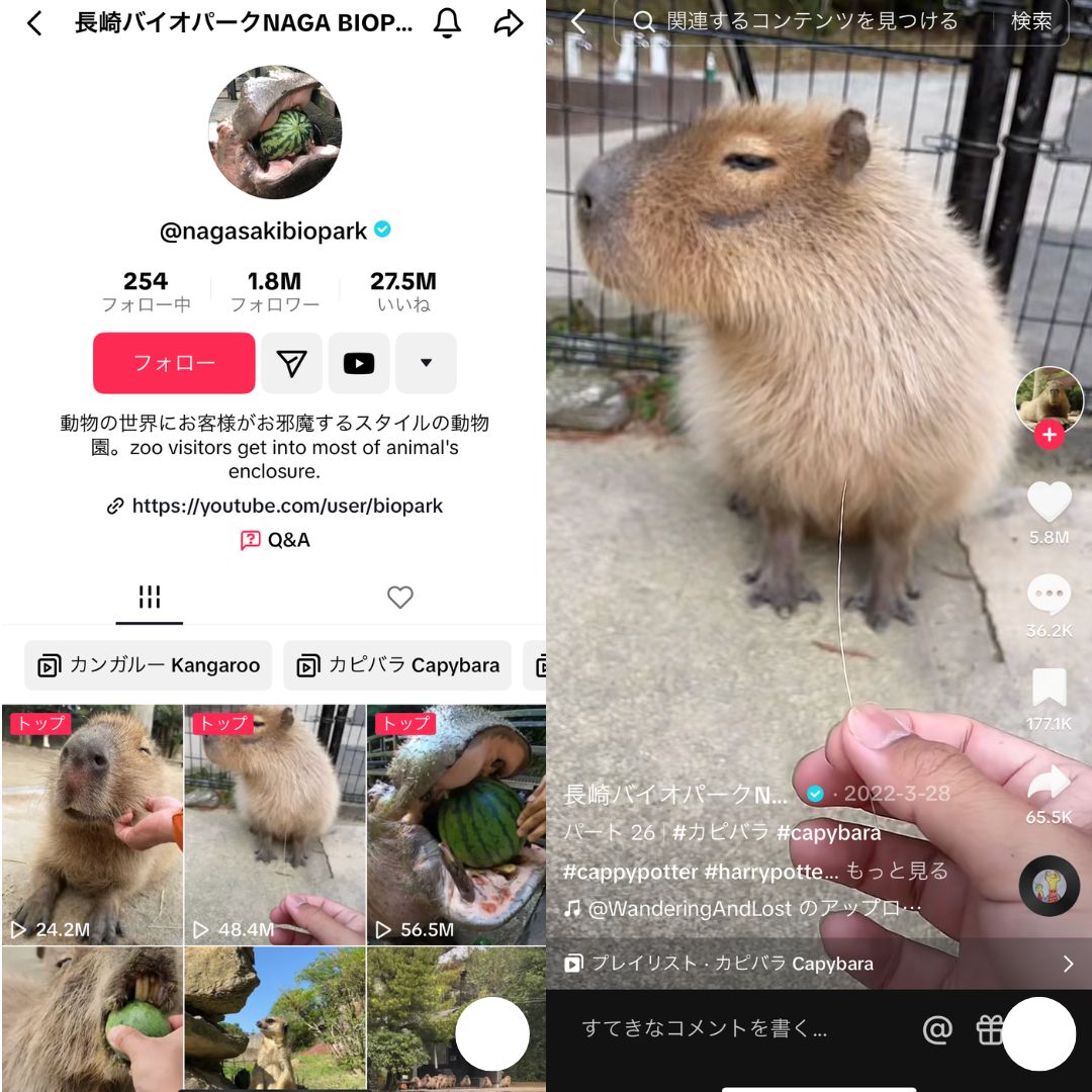 長崎バイオパーク