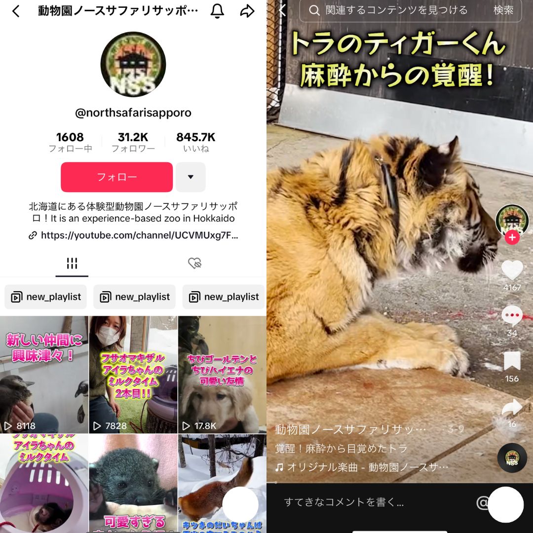 動物園ノースサファリサッポロ