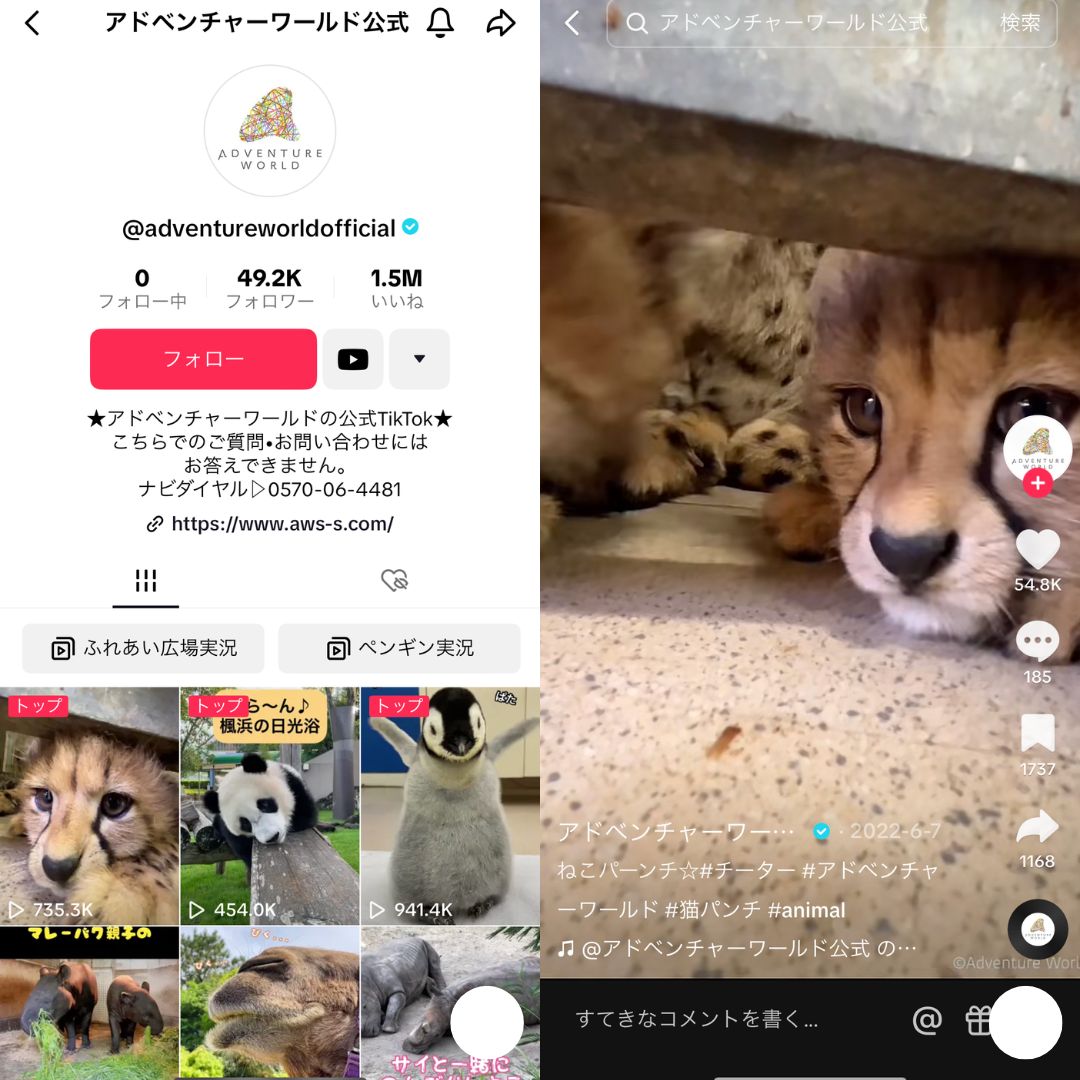 アドベンチャーワールド公式