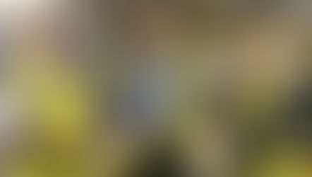 Glidevale Protect puts its focus on sustainability.