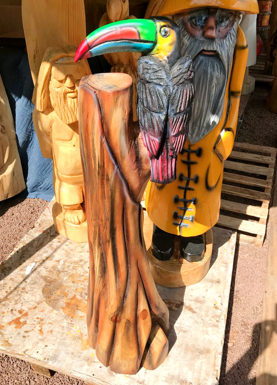 Tiki Murph custom carved white pine colorful Toucan perched on a log.