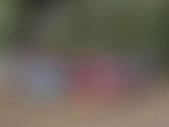 Campamento anual del Grupo Antranik: "Del Ararat al Nahuel Huapi – Montañas que nos unen”