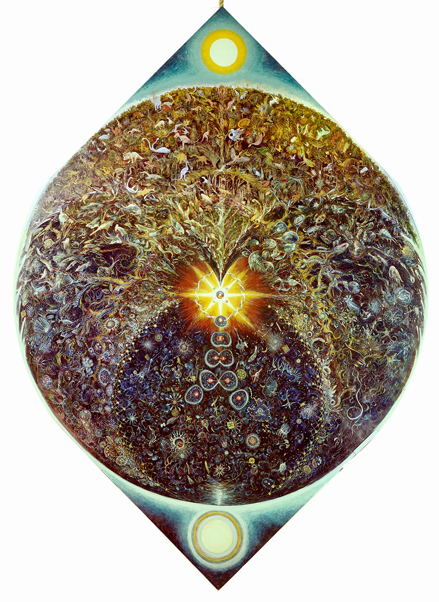 "Taxonomic Mandala of Evolution"