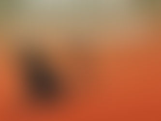 La complexité des esthétiques japonaises