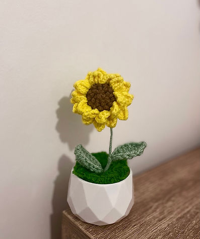 Sunflower Plant Pot