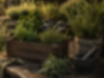 Herb Garden_edited.jpg