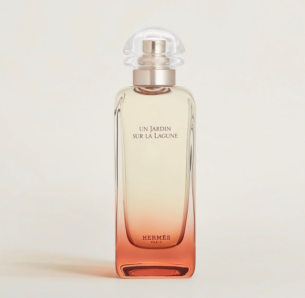 Miniature : Un jardin sur la Lagune Hermès Paris