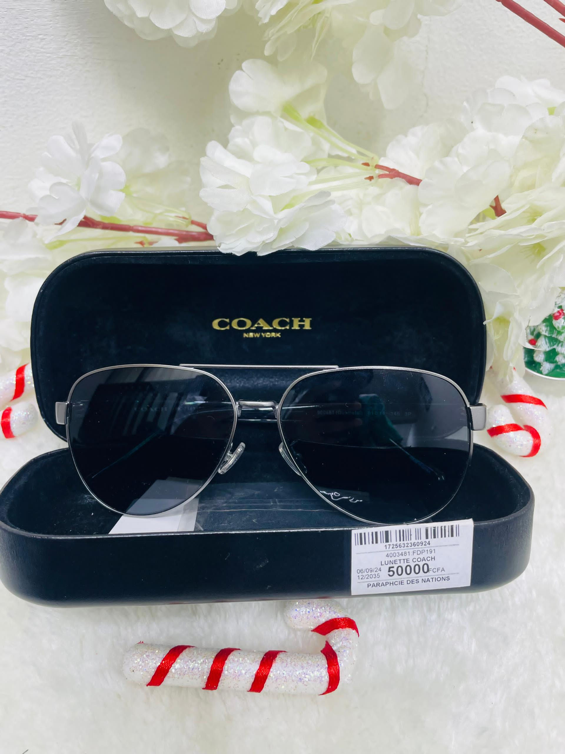 Lunettes de Soleil COACH