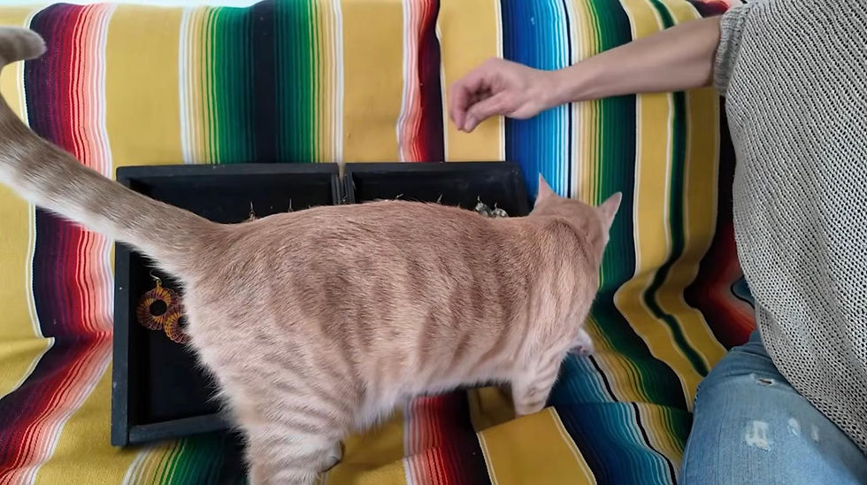 «Vivo in uno stabile occupato perché questo posso permettermi», la storia di Simona abitante dell'ex questura al Quarticciolo