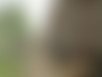 Centocelle, al via i lavori per il percorso ciclopedonale dei parchi. Il municipio: «Sarà pronto a giugno 2025»