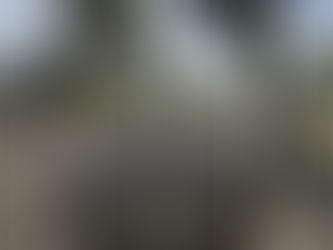 Eur: le nuove piste ciclabili, il municipio avvia la fase di partecipazione con la cittadinanza e i comitati