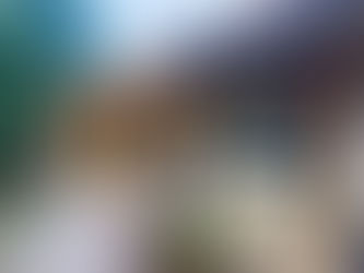 Inserimento al nido, ecco cosa pensano i genitori del "modello svedese"