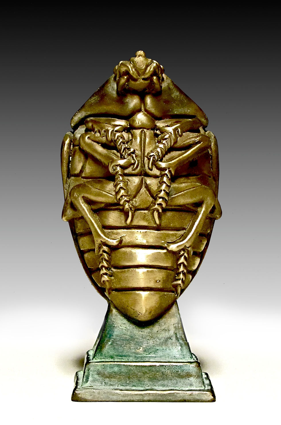 Scarab Beetle by Deran Wright