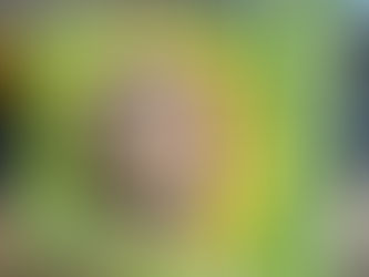 みんなで減らす!フードロスイベント