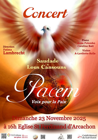 Affiche concert Lous et saudaden 28 jun