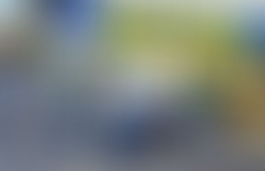 PARA O PREFEITO AUGUSTO CASTRO A POPULAÇÃO CANINA TEM MAIS VALOR QUE A POPULAÇÃO HUMANA EM ITABUNA