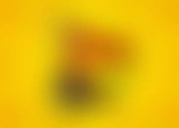 EMPREENDEDORISMO: Como transportar geladinho e vender na rua