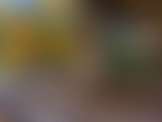 Stone patio with colorful potted flowers and a small pine tree. Autumn trees in the background under a clear blue sky. Peaceful setting.