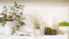 weekly maker / bloomist