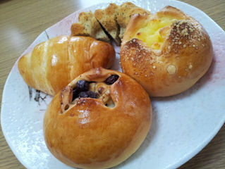 写真が上手に撮れたので。。。